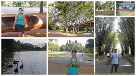 ibirapuerapark_sundaywalk